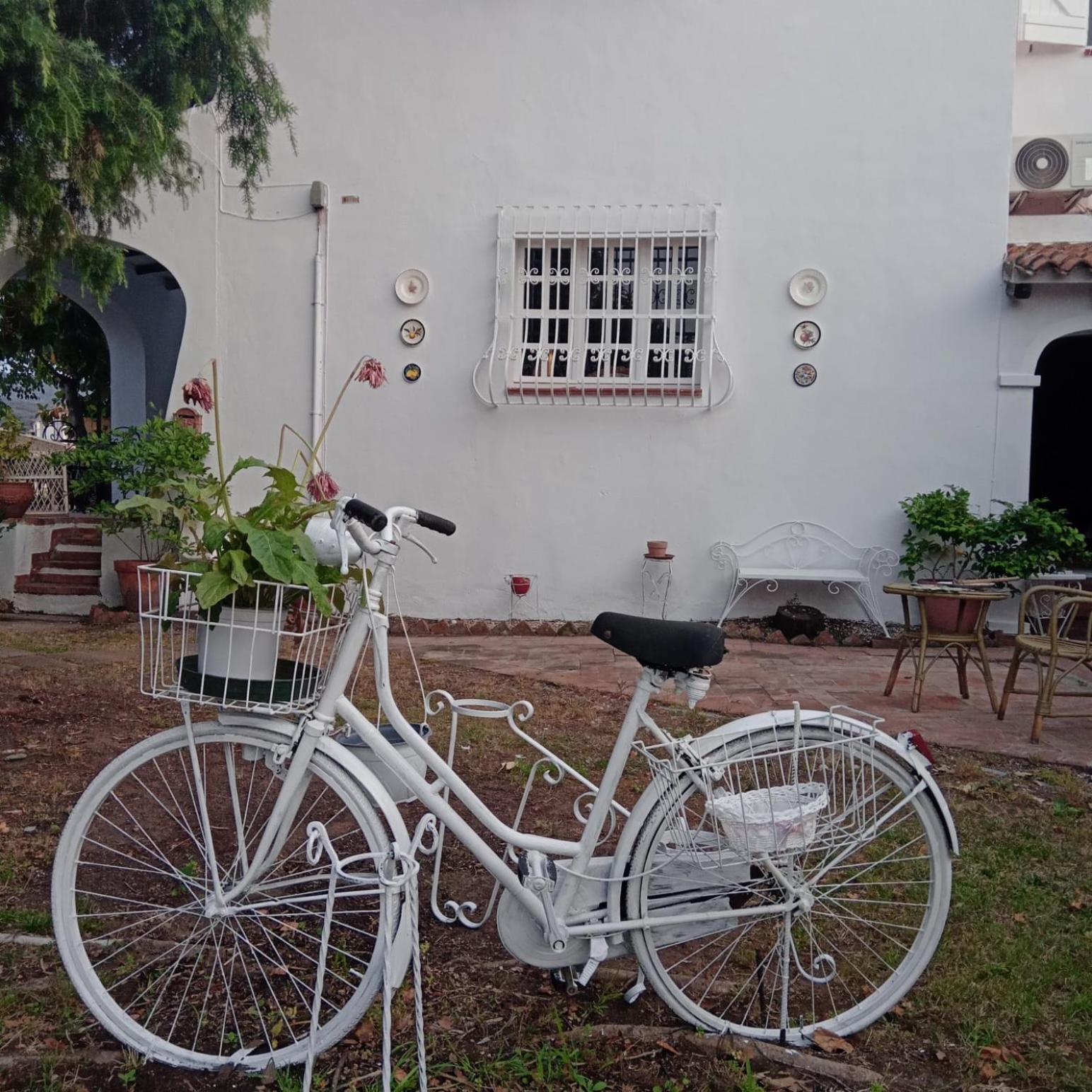 Da Tea Bed and Breakfast San Teodoro  Eksteriør billede